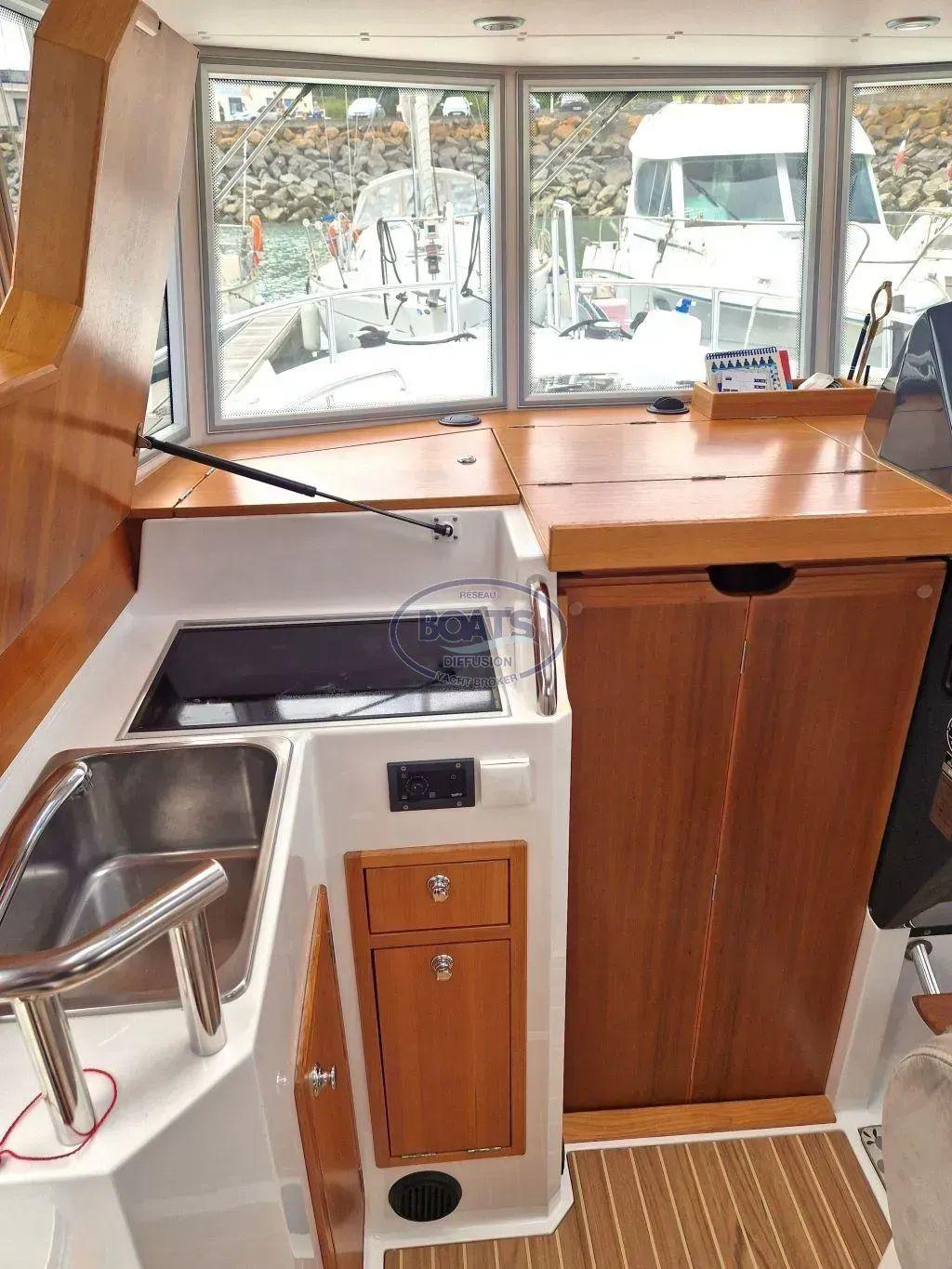 sargo 31