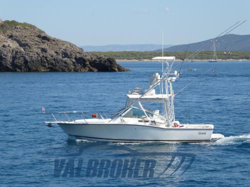 Carolina classic classic 28