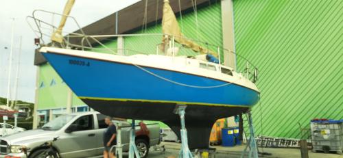 Neptun neptun 26