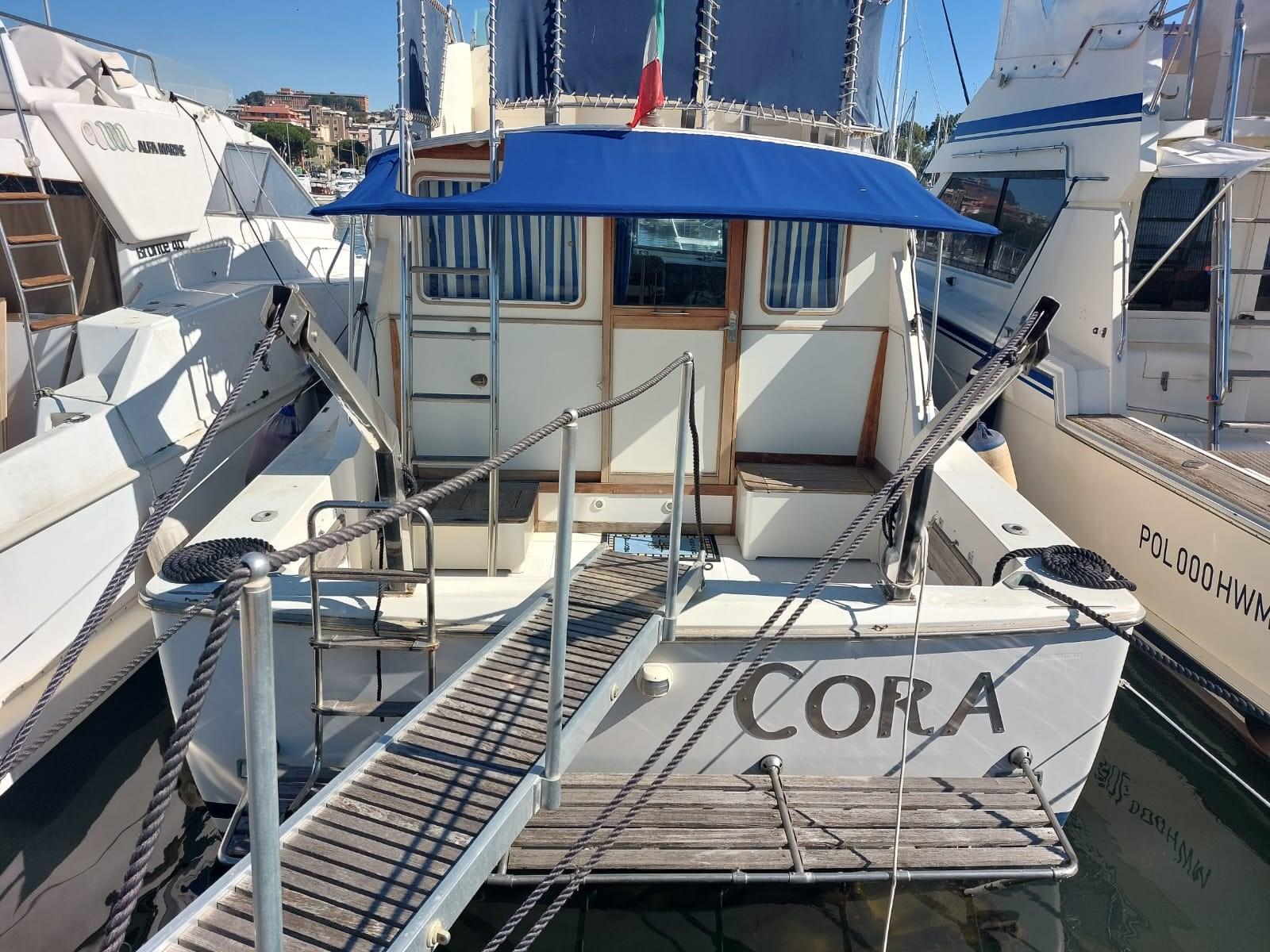 bertram yacht 33' fbc