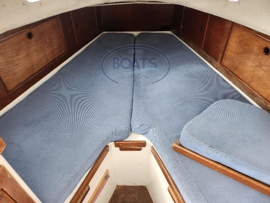 trident marine Warrior 35