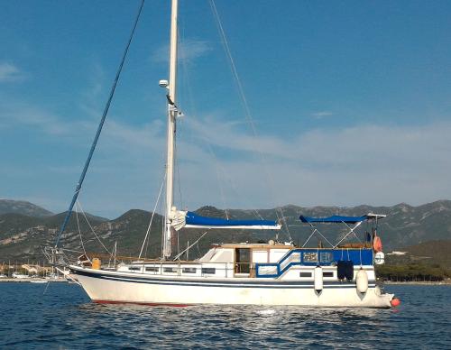 Seafinn yachts seafinn 411