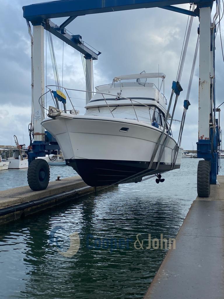 riviera marine 39 convertible