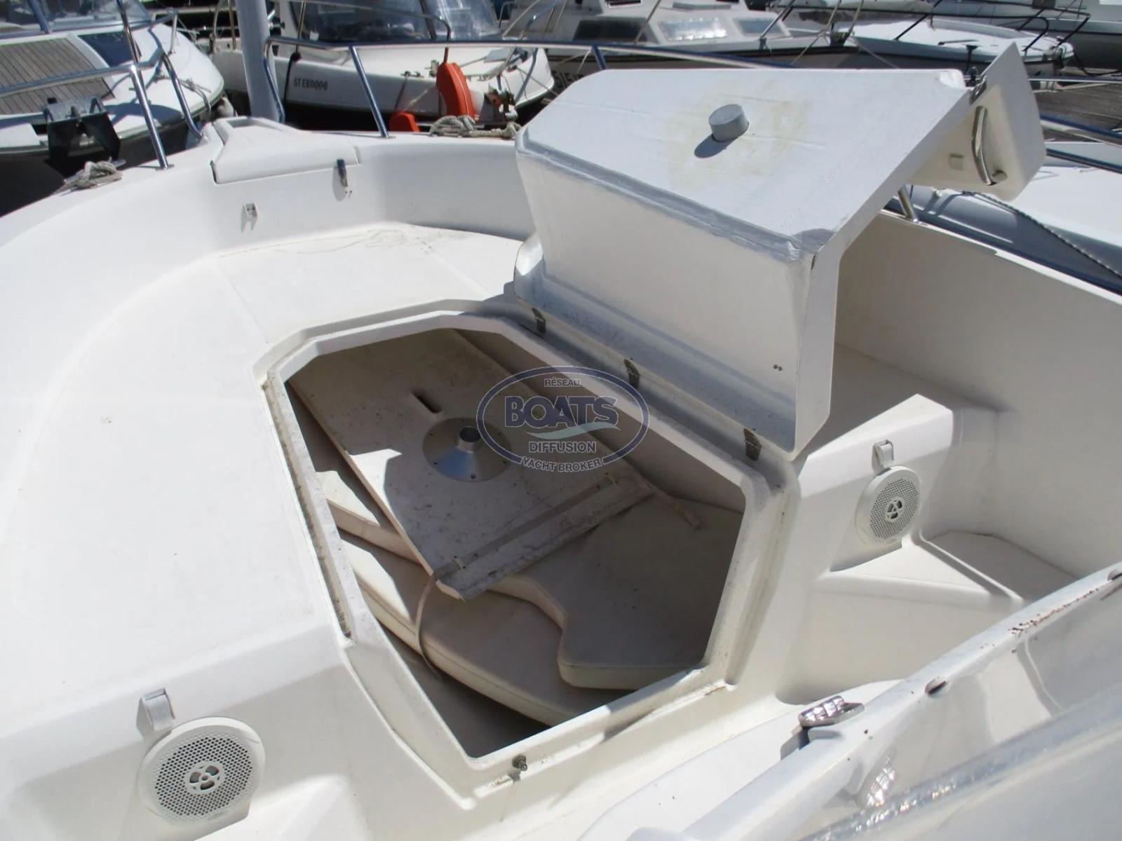 white shark White shark 226