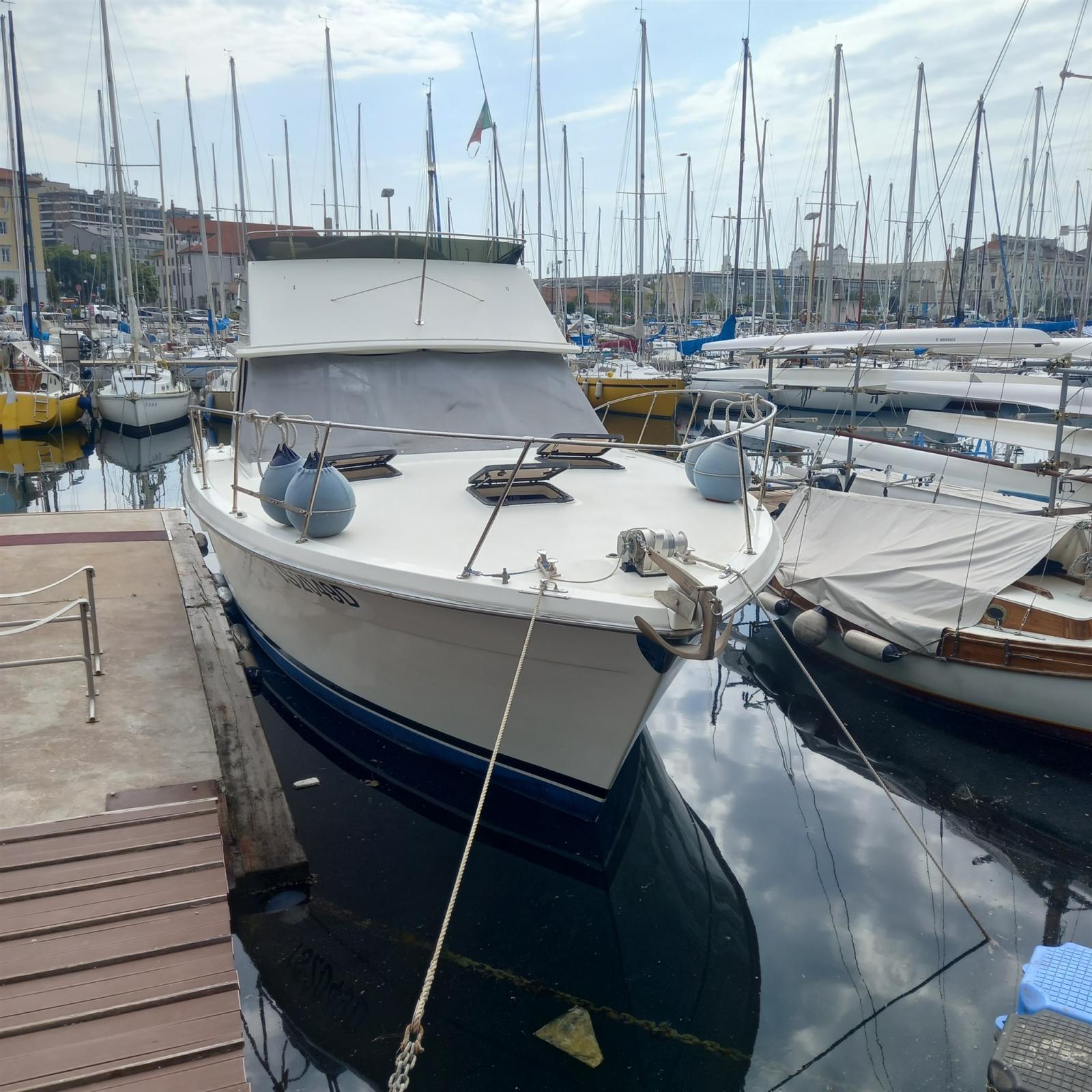 trojan yacht Trojan 36 fly