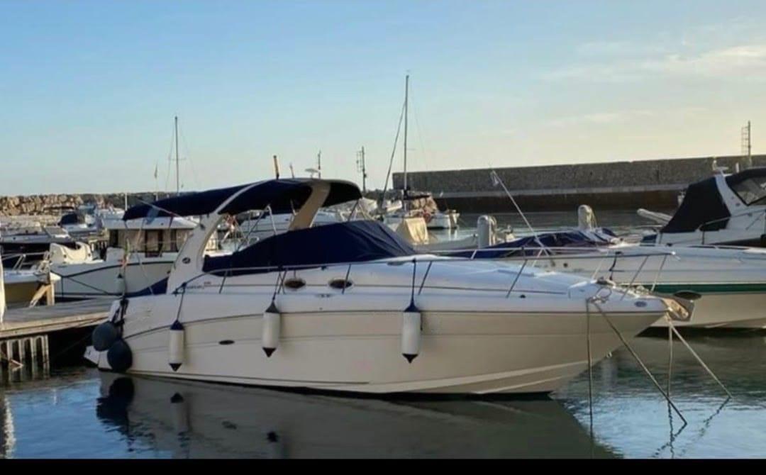 sea ray 335 da