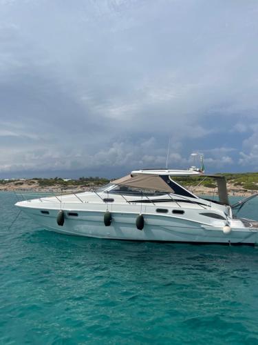 Sealine s43