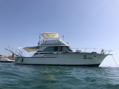 Bertram yacht 46.6 convertible