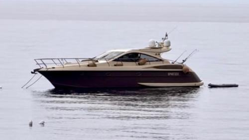 Dellapasqua dc 13 elite