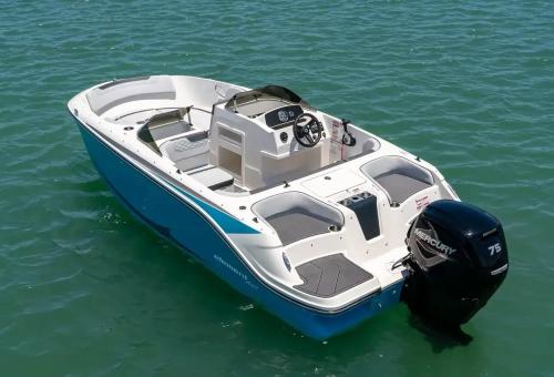 Bayliner element 17