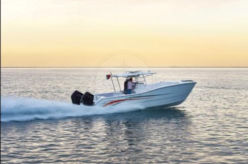 Gulf craft silvercat 34 cc