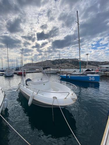 Jeanneau cap camarat 5.5 cc