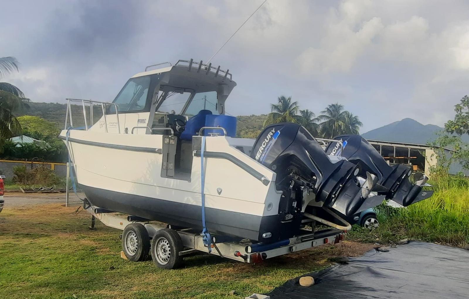 cheetah marine Cheetah marine 6.9