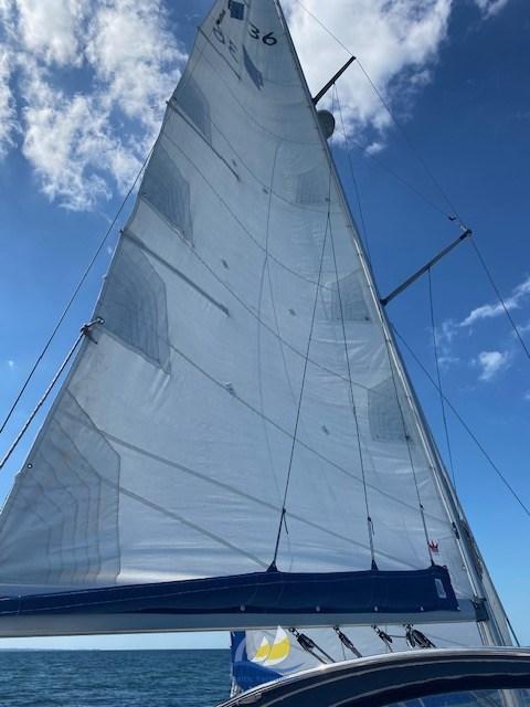 bavaria yachts Bavaria 36-3