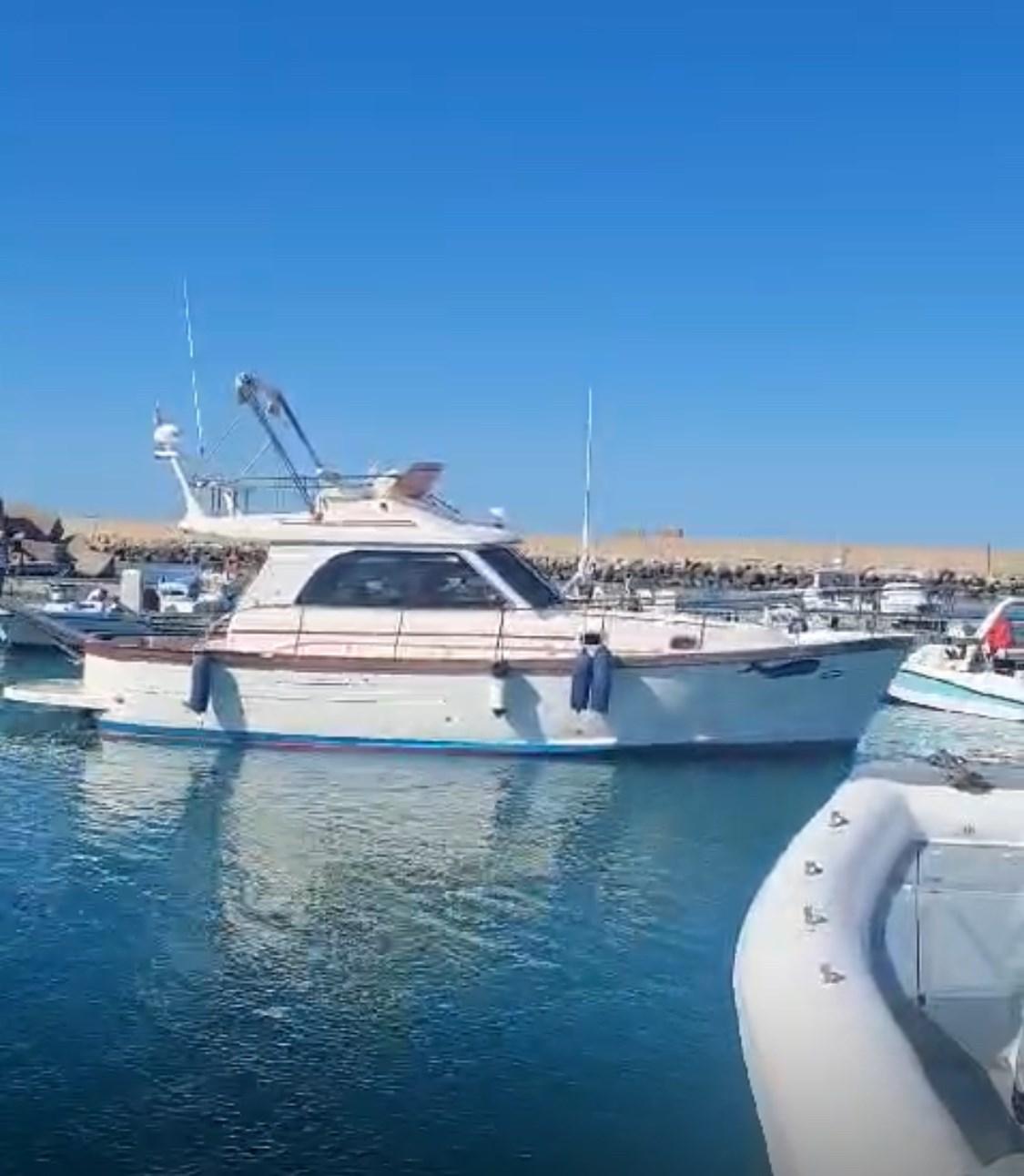 sciallino 34' fly