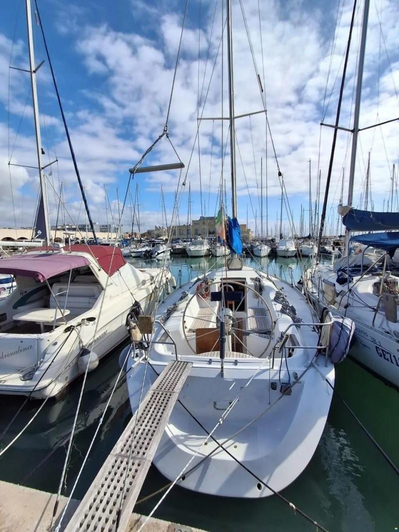 argos Duck 41
