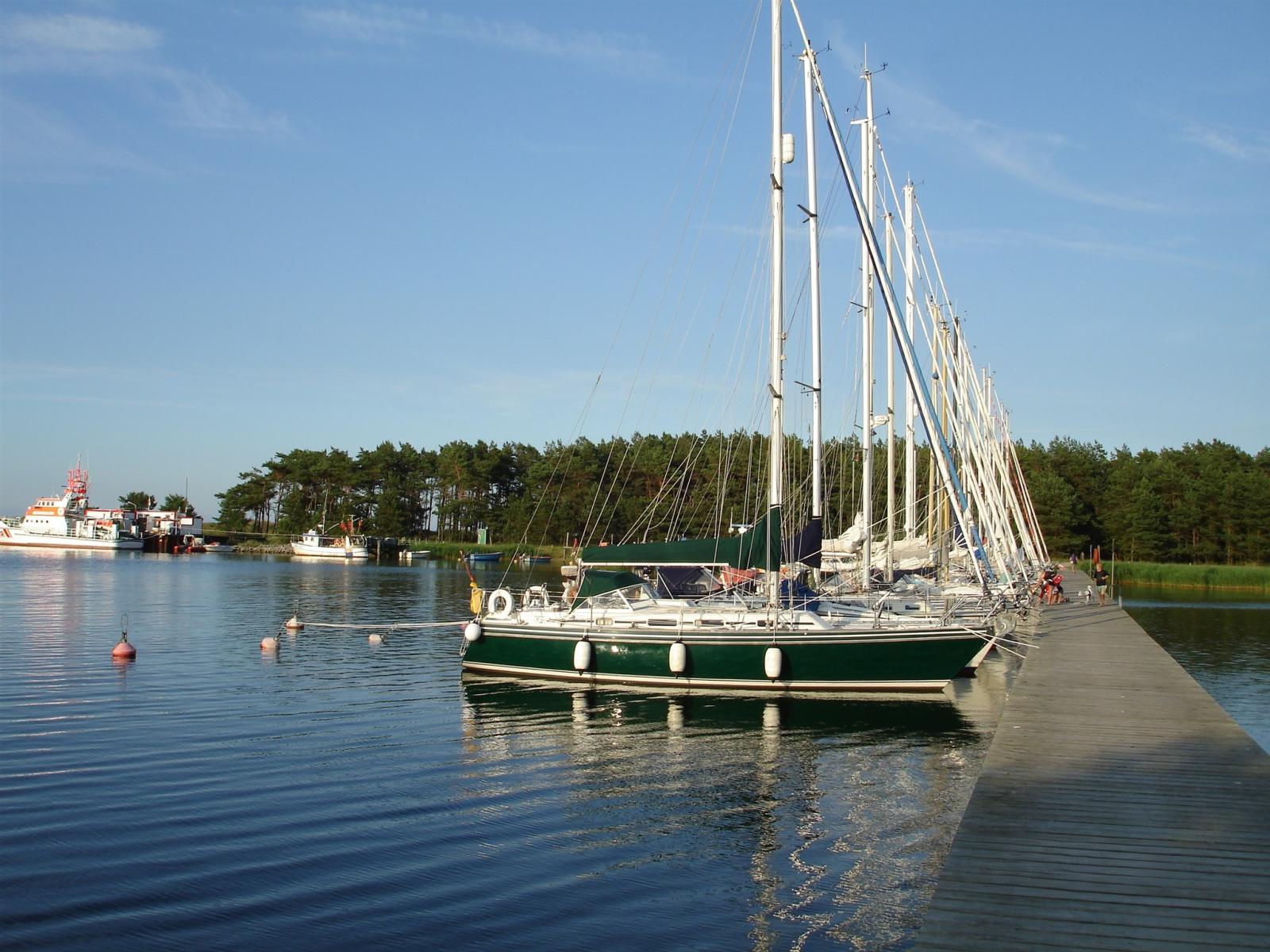 conyplex Contest 35s