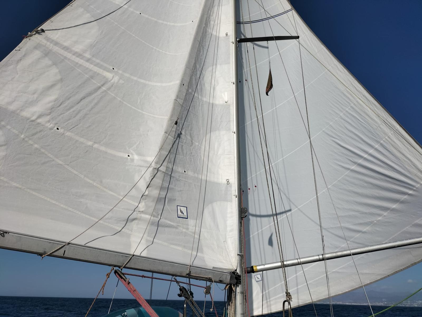 Epervier 35 dl