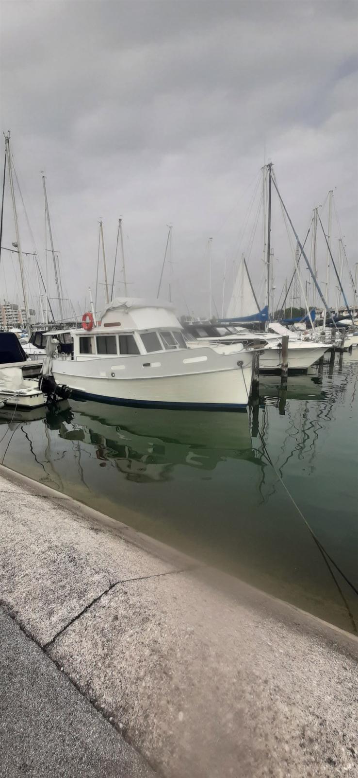 american marine Grand banks 32