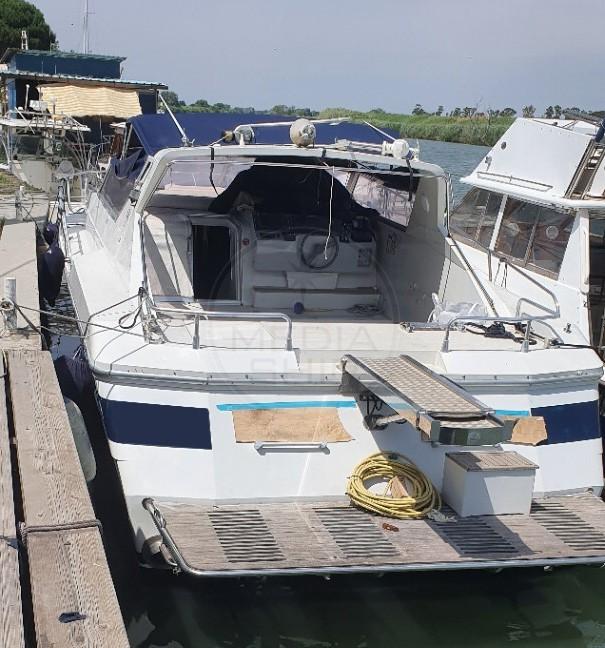 giorgi 46