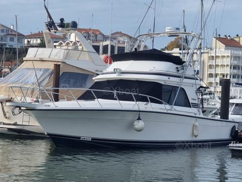 Blackfin blackfin 38 convertible