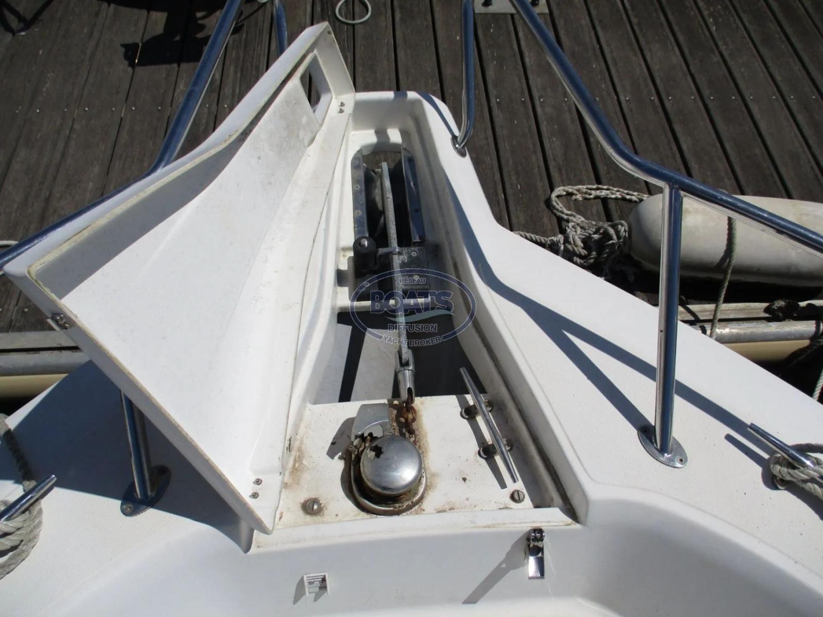 white shark White shark 226
