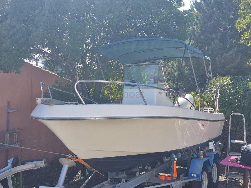 kelt White shark 175