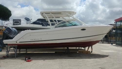 Robalo r 317