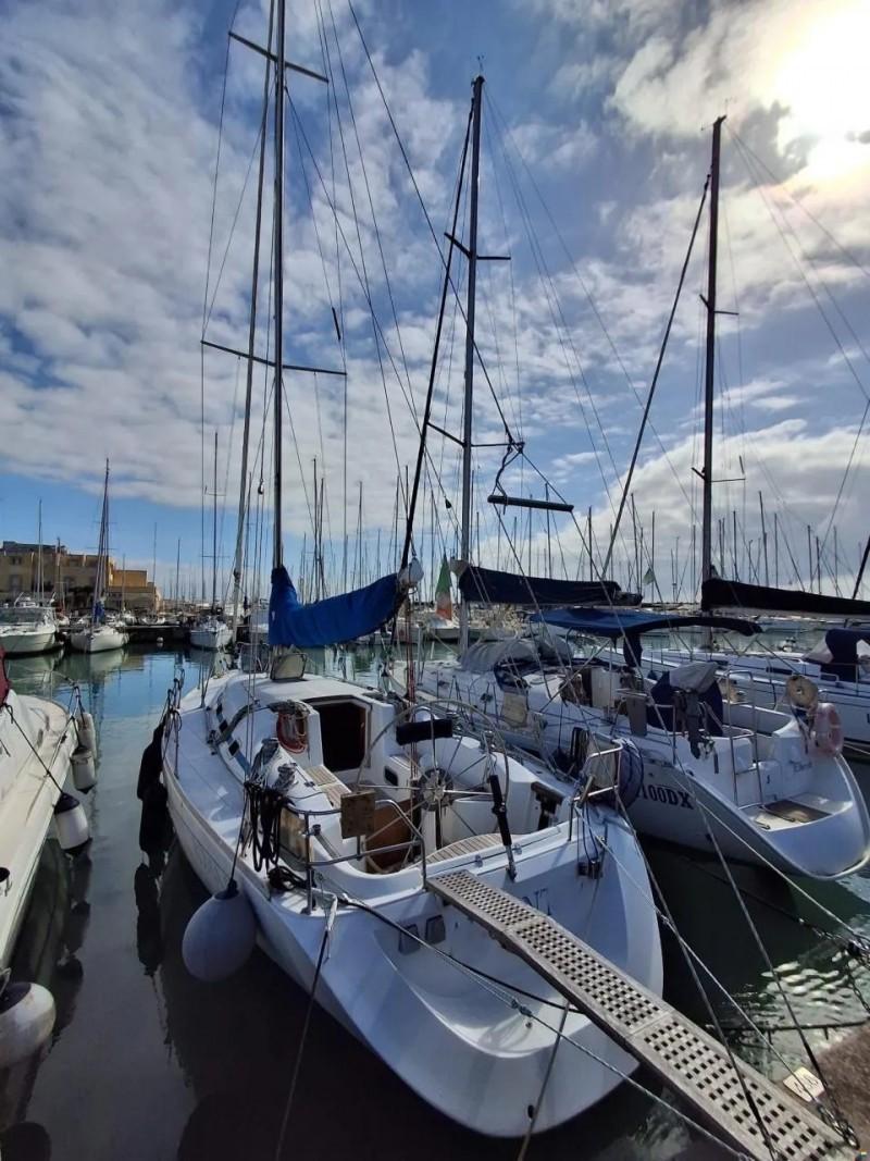 argos Duck 41