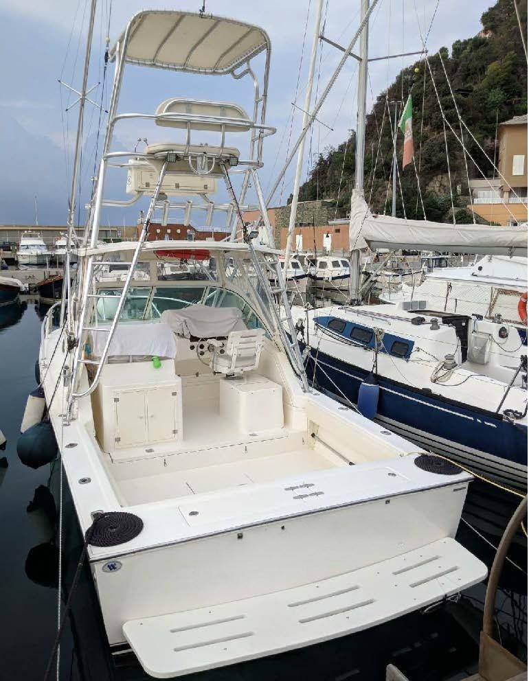 albemarle 28' express