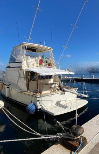 Hatteras hatteras 51