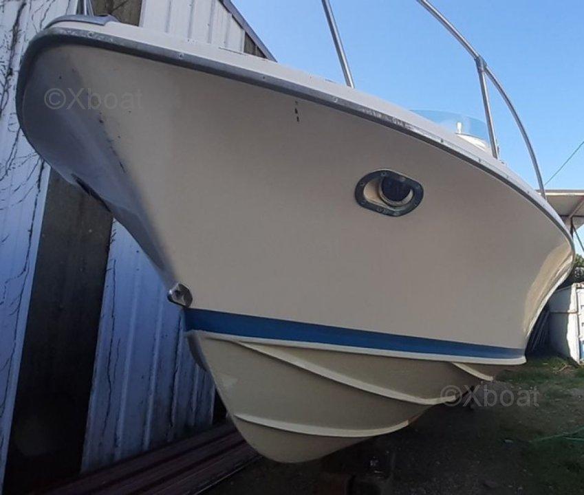 riva Riva bertram 25 sport fisherman