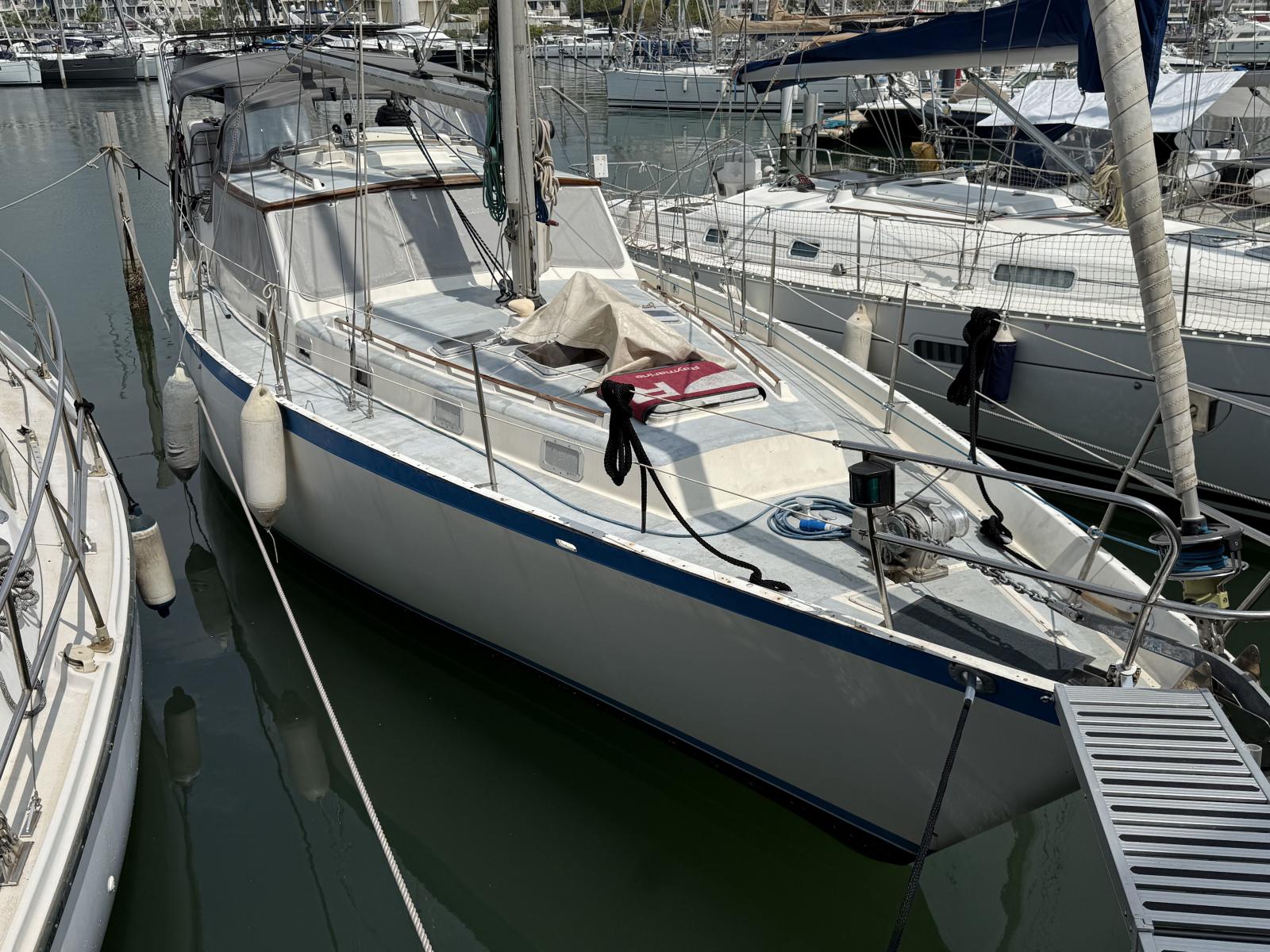 wauquiez Antigua 37