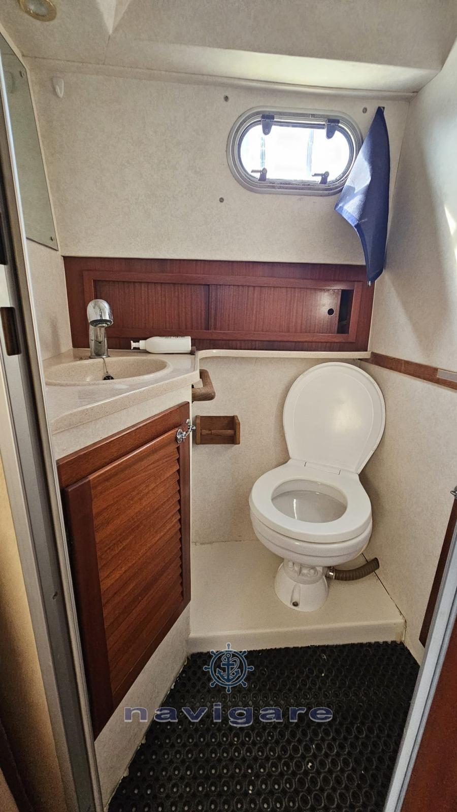 plastik Space 310 cruiser