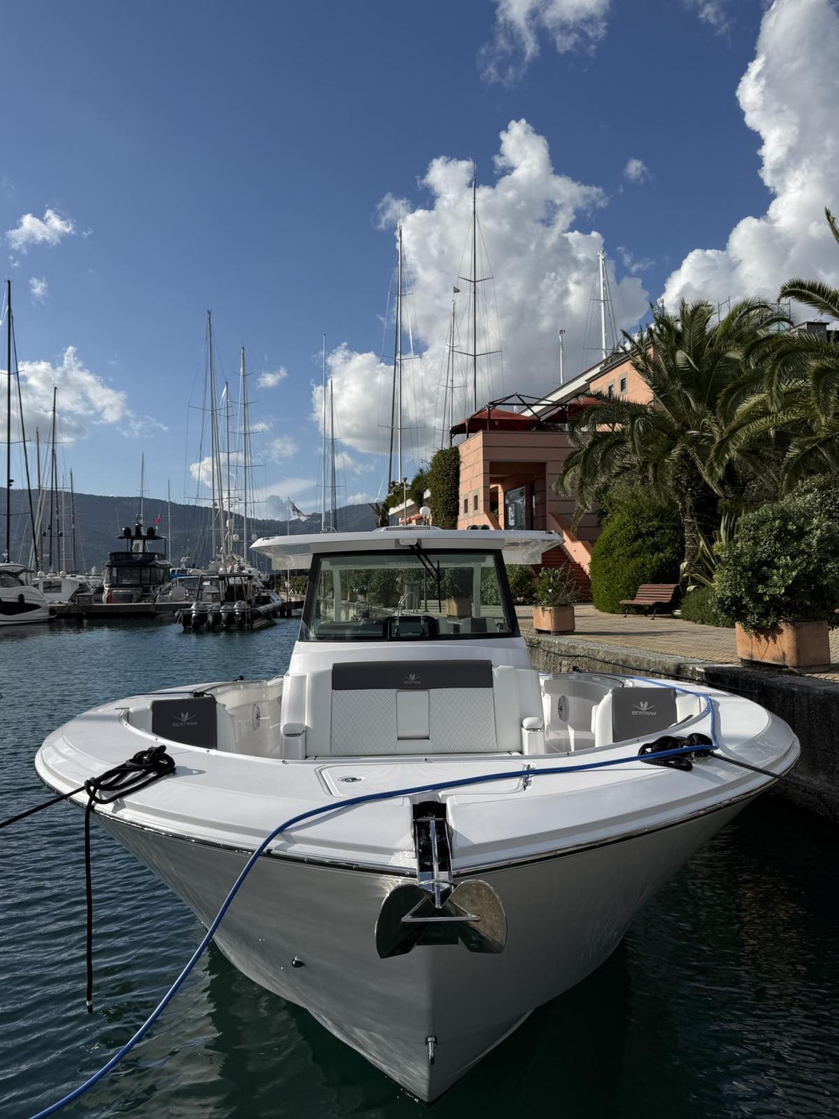 bertram yacht 39 cc