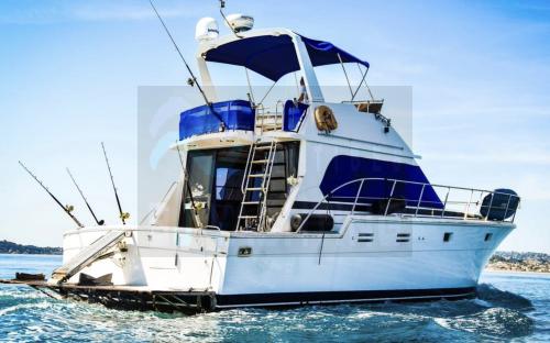 Hi star marine 48 fisherman