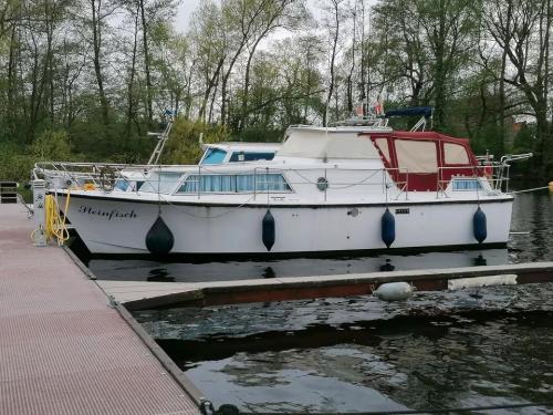De amer amerglass 32 ak ii