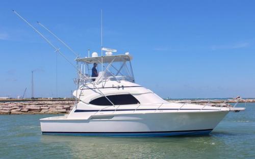 Bertram yachts bertram 390 convertible