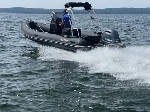 3d tender dream 655 black limited edition