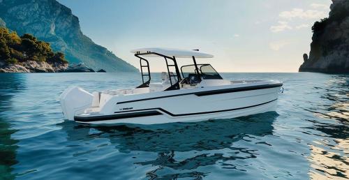 Wellcraft 28 t-top