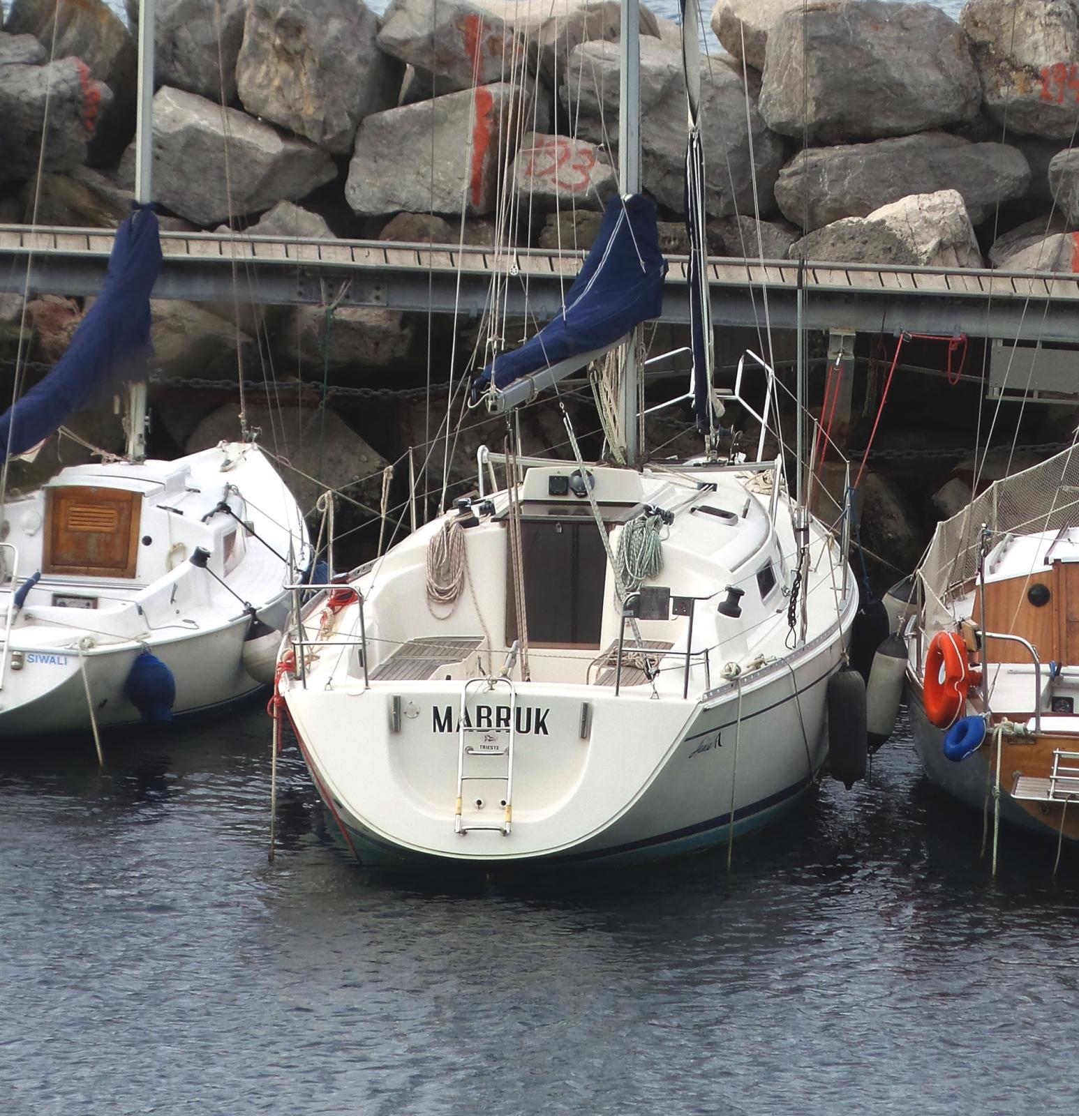 hanse Hanse 311