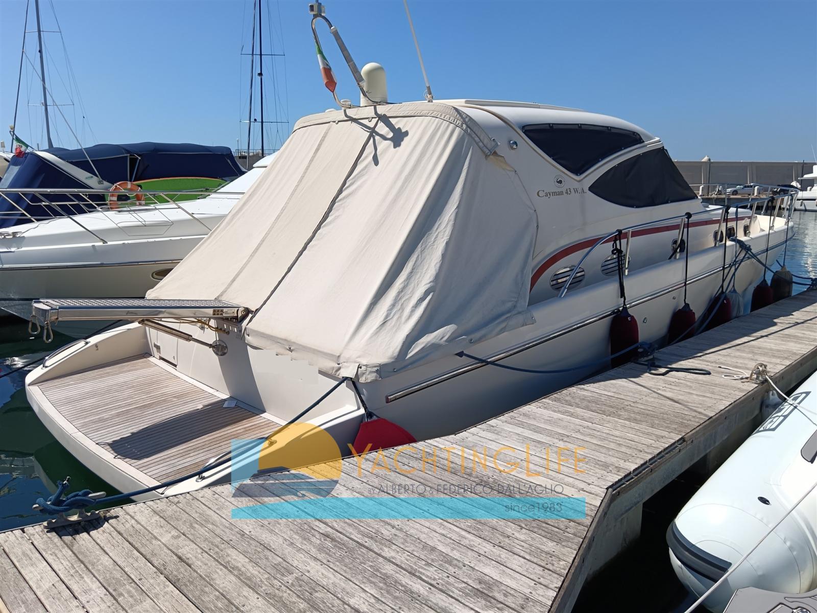 cayman 43 wa