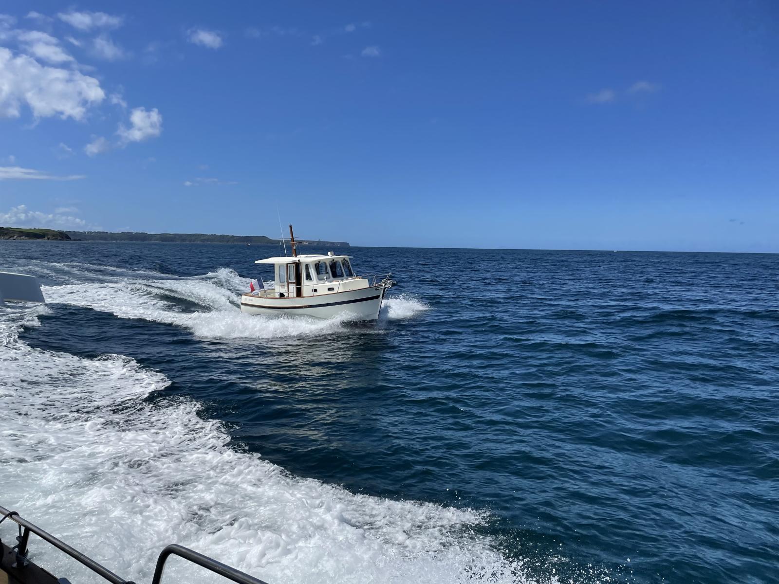 rhea marine 800 timonier