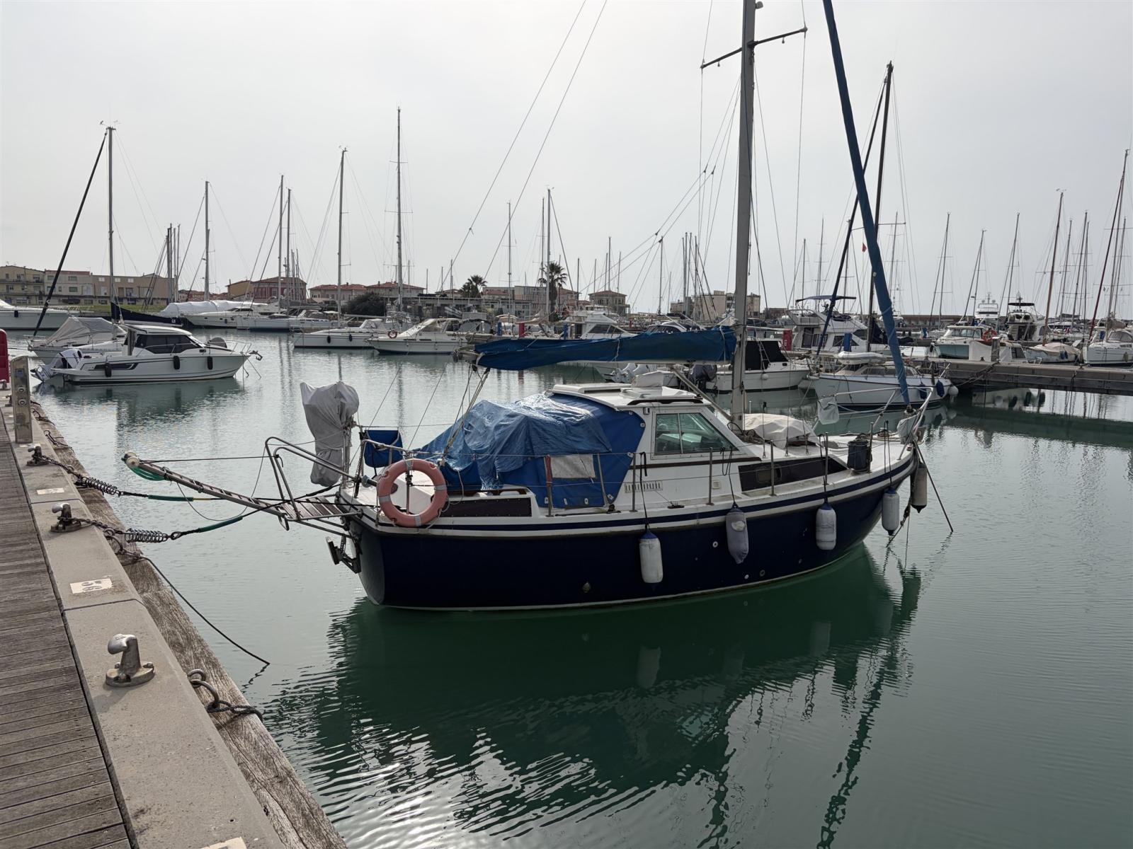 automarine Tortuga 27