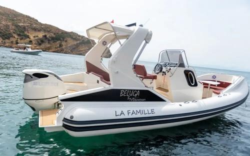 Espadon espadon 800 beluga