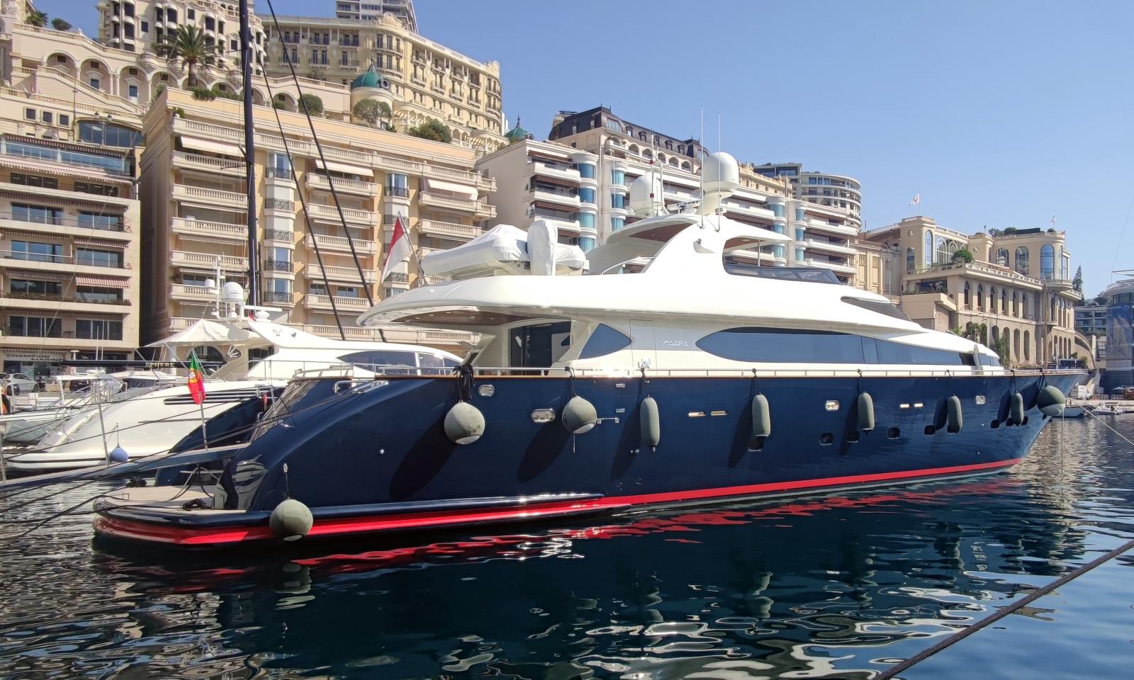 maiora 31 dp