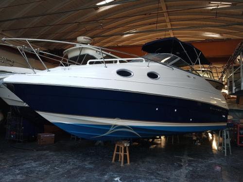 Regal marine commodore 242