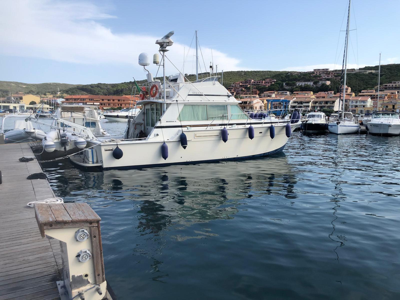 bertram yacht Bertram 42' convertible