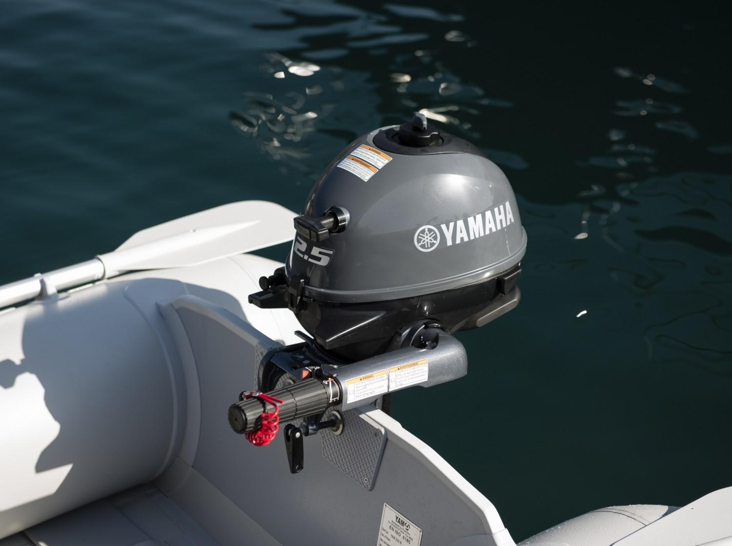 yamaha F2.5 bmhs/l