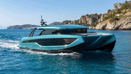 Panthera wild 50 cat